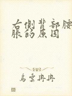 右侧背部腰上酸胀的原因封面