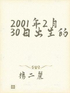 2001年2月30日出生的命运