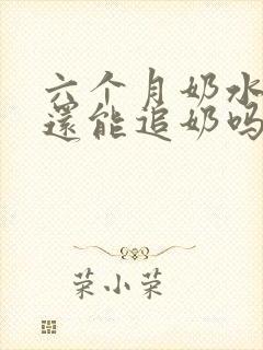 六个月奶水少了还能追奶吗