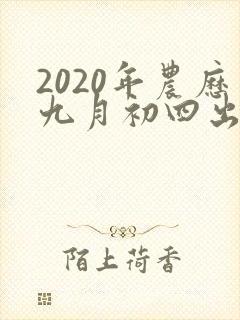 2020年农历九月初四出生的人命运