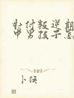 对付叛逆期的初中男孩子怎么办