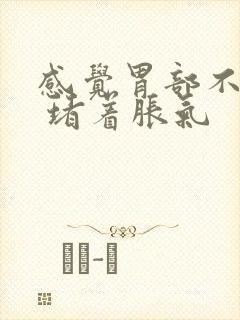 感觉胃部不消化 堵着胀气封面