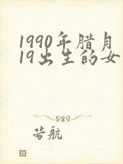 1990年腊月19出生的女孩的命运封面