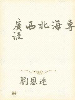 广西北海专线物流