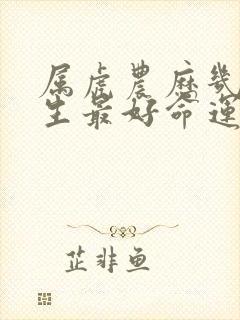 属虎农历几月出生最好命运