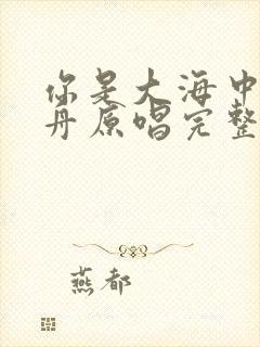 你是大海中的方舟原唱完整版