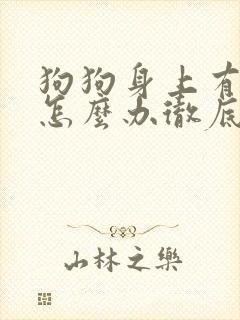 狗狗身上有螨虫怎么办彻底清除