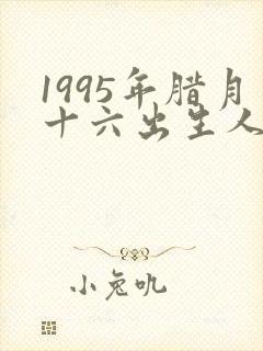 1995年腊月十六出生人的命运