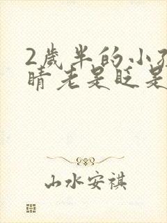 2岁半的小孩眼睛老是眨是怎么回事