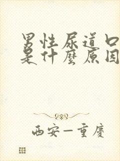 男性尿道口红痛是什么原因