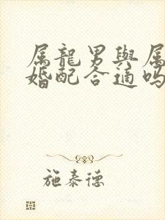 属龙男与属龙女婚配合适吗