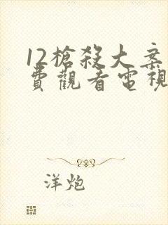 12枪杀大案免费观看电视剧