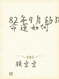 82年9月的狗命运如何