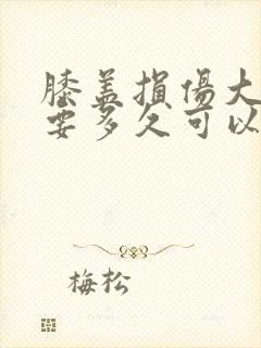 膝盖损伤大概需要多久可以恢复封面