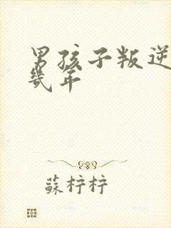 男孩子叛逆期要几年封面