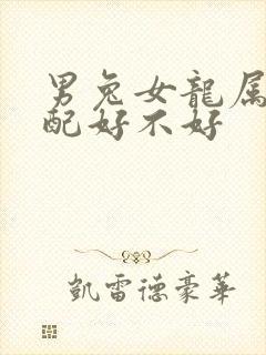 男兔女龙属相婚配好不好