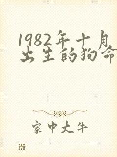 1982年十月出生的狗命运怎么样