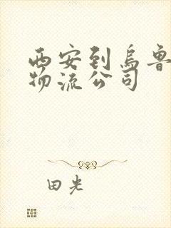 西安到乌鲁木齐物流公司