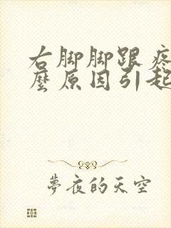 右脚脚跟疼痛什么原因引起的封面