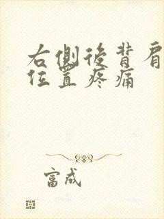 右侧后背肩胛骨位置疼痛