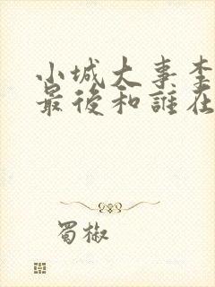 小城大事李秋萍最后和谁在一起封面