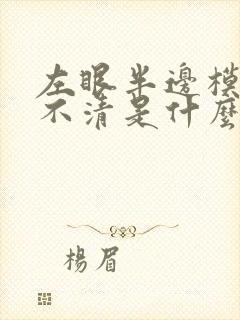 左眼半边模糊看不清是什么情况