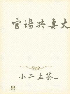 官场共妻大交换封面