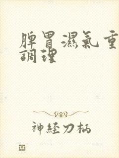 脾胃湿气重如何调理