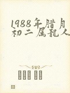 1988年腊月初二属龙人的命运