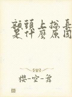 额头上总长痘痘是什么原因