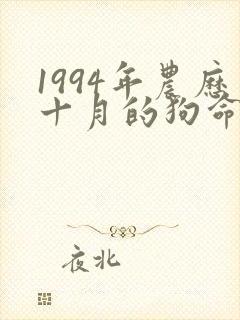 1994年农历十月的狗命运如何