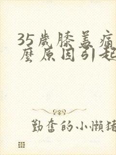 35岁膝盖痛什么原因引起的