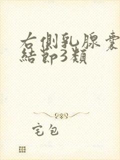 右侧乳腺囊实性结节3类封面