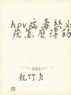 hpv病毒丝状疣怎么得的