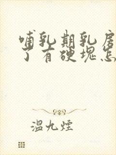 哺乳期乳房压到了有硬块怎么办封面