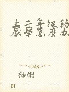 上二年级的孩子厌学怎么办封面