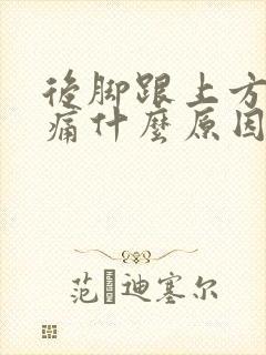 后脚跟上方的筋痛什么原因引起的