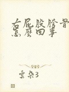 右屁股胯骨疼是怎么回事