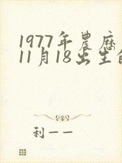 1977年农历11月18出生的命运
