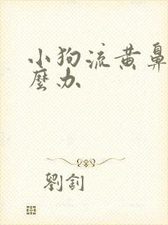 小狗流黄鼻涕怎么办