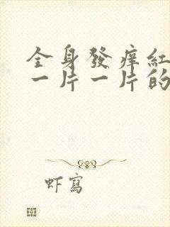 全身发痒红疙瘩一片一片的