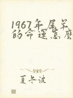 1967年属羊的命运怎么样