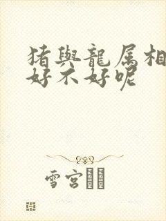 猪与龙属相婚配好不好呢封面