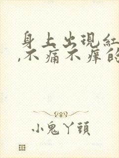 身上出现红疹子,不痛不痒的