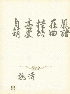 月亮挂在凤尾竹葫芦丝曲谱封面