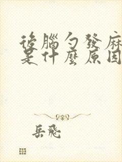 后脑勺发麻头晕是什么原因