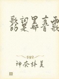 歌词里有两个人的是哪首歌封面