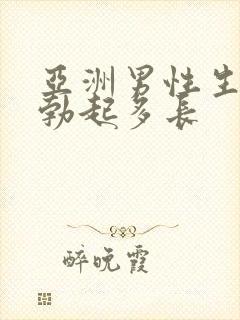 亚洲男性生殖器勃起多长