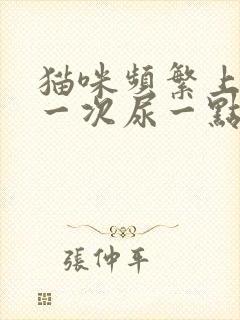 猫咪频繁上厕所一次尿一点咋回事