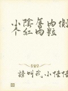 小阴唇内侧长了个红肉粒